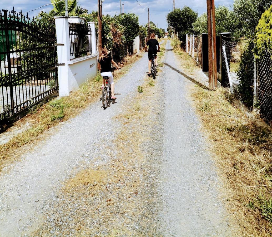 סוזופולי Country House מראה חיצוני תמונה