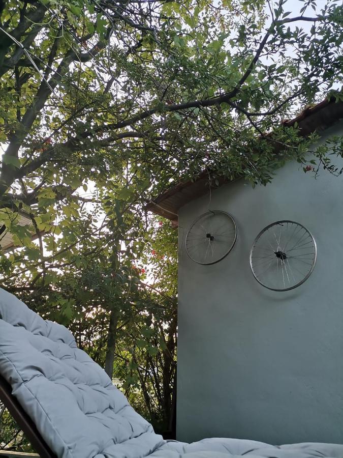 סוזופולי Country House מראה חיצוני תמונה