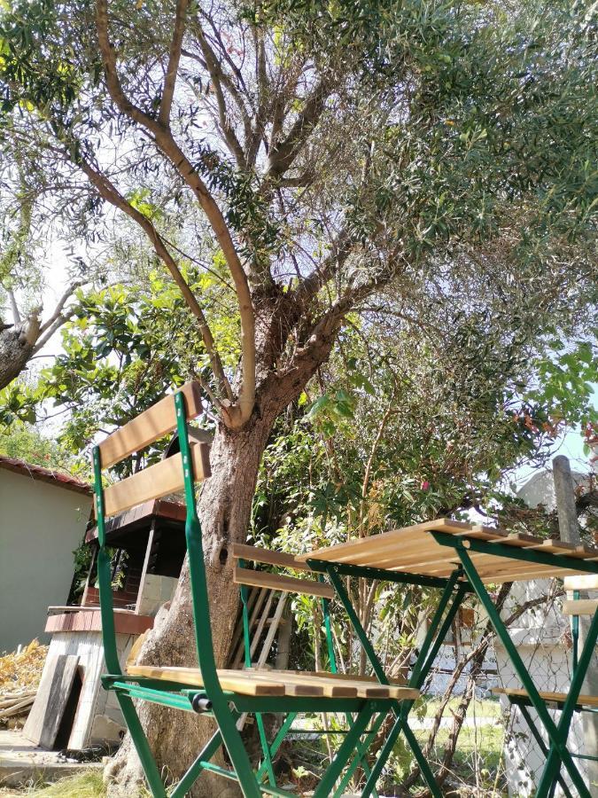 סוזופולי Country House מראה חיצוני תמונה